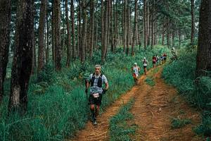 BIB: 
                            <button type="button" onclick="openModal(25671043)" class="btn btn-primary btn-sm float-right btn-popup" data-toggle="modal" data-target=".modal-high-quality">
                        <i class="fas fa-shopping-cart"></i> Add to Cart
                    </button>
                                            <button type="button" onclick="isThisMe(25671043, true)" class="btn btn-success btn-sm float-right btn-popup btn-isme hidden" data-toggle="tooltip" data-placement="bottom" title="นี่คือรูปของคุณใช่ไหม คลิกที่นี่เพื่อเอาเข้าอัลบั้ม">
                        <i class="fas fa-plus"></i> Add to album
                    </button>
                    <button type="button" onclick="isThisMe(25671043, false)" class="btn btn-warning btn-sm float-right btn-popup btn-isnotme hidden">
                        <i class="fas fa-ban"></i> Remove from album
                    </button>